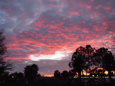 [Most of this image is sky and only a very small section in the middle is light blue. All around it are pink-tinged purple clouds above the silhouettes of the pine trees and the horizon.]